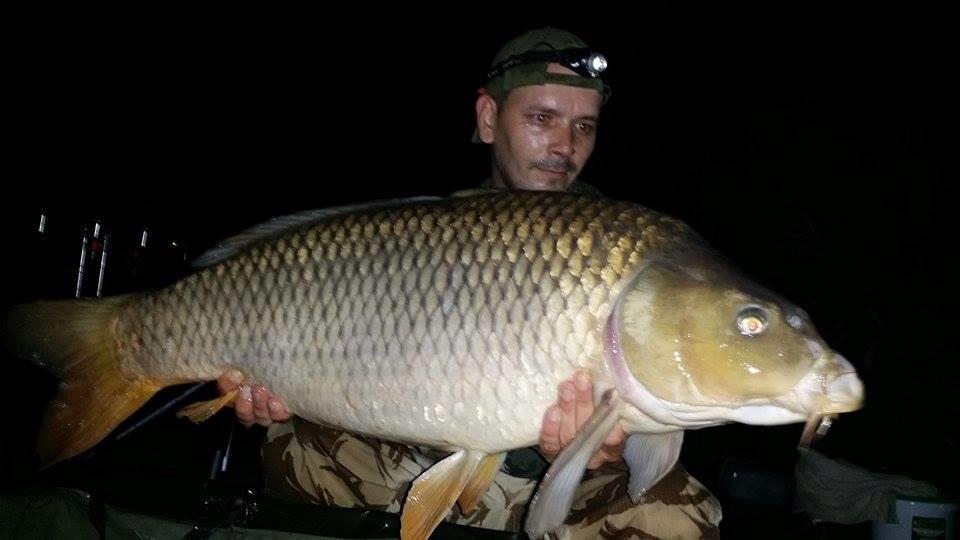 2015 - 1199844216417510194352002071188656n.jpg